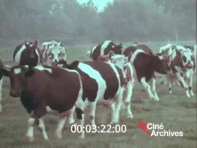 MUTUALITE AGRICOLE (LA)